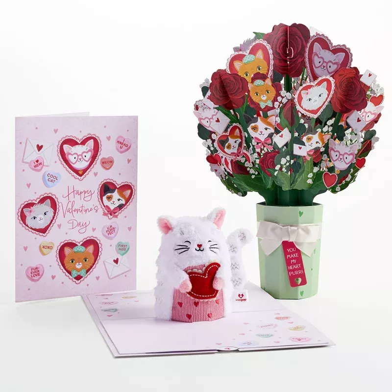 ‘Happy Valentine’s Day’ Love Cat Plushpop Card & Bouquet Bundle