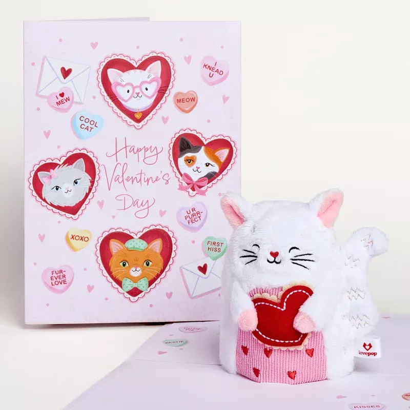 ‘Happy Valentine’s Day’ Love Cat Plushpop Card